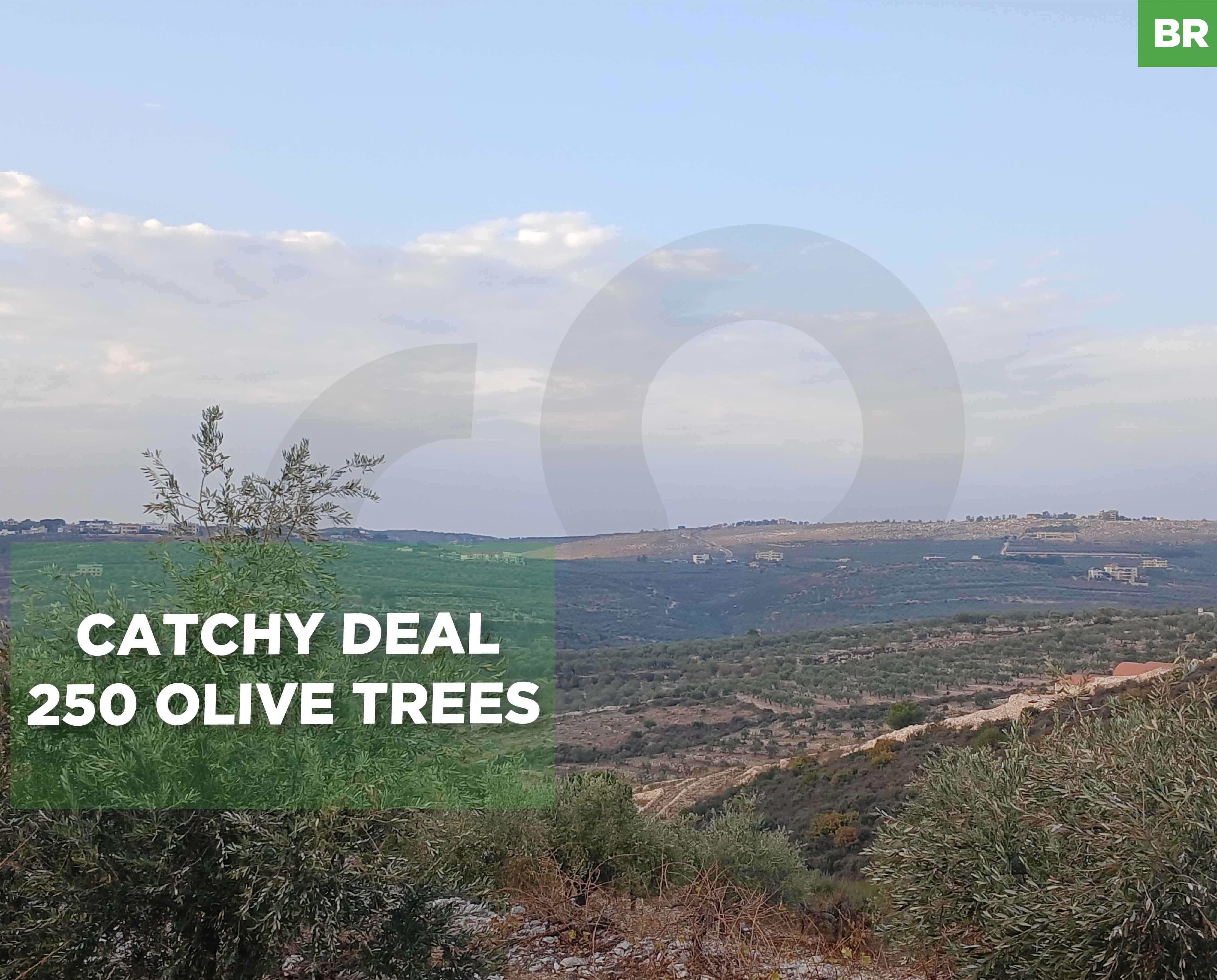 9450 sqm parcel of land IN BZIZA ! — الصورة 1