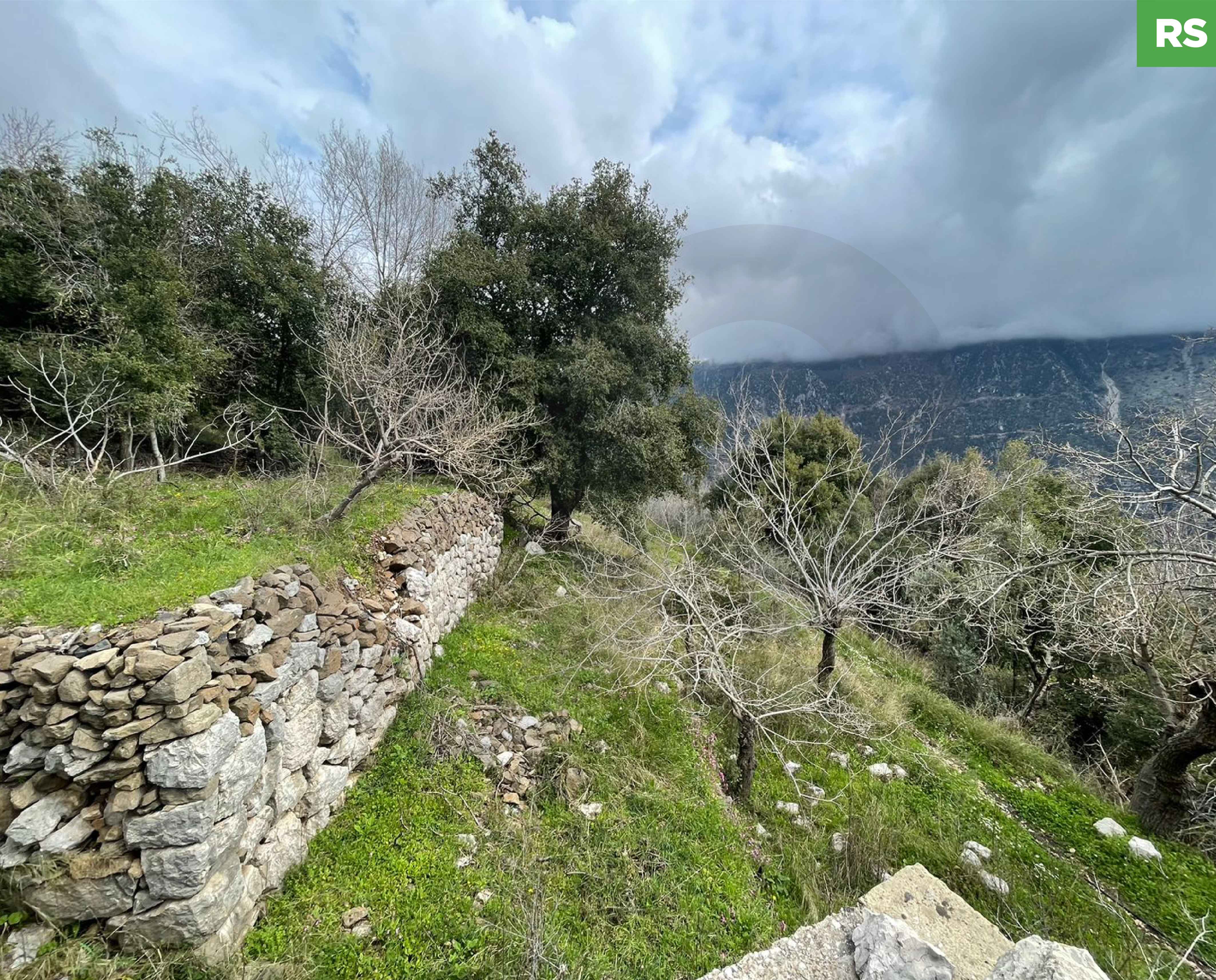 Land | Prime Residential Plot in Ain Jrein - jbeil ! — الصورة 1