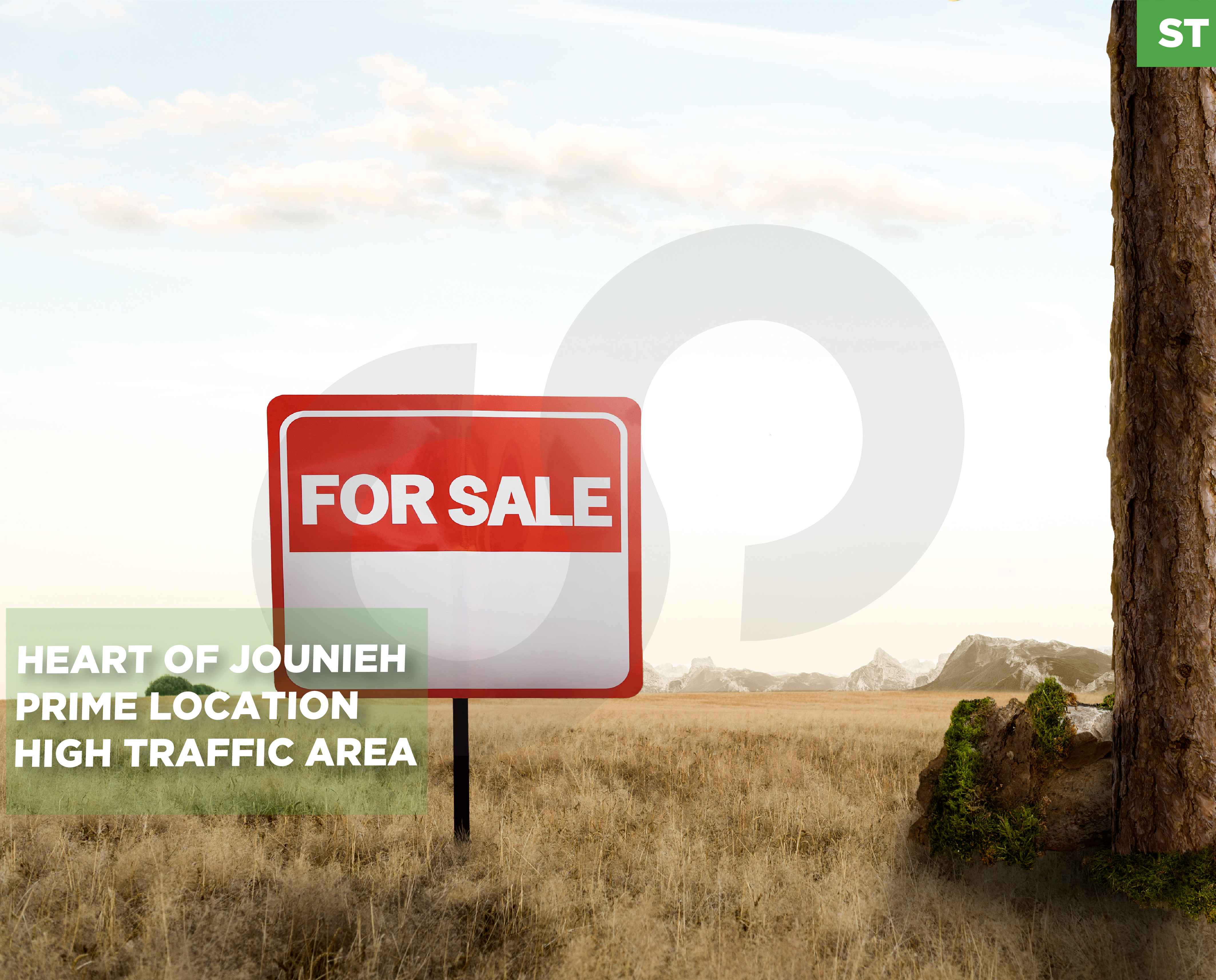 LAND/Haret Sakher /Flat Plot !