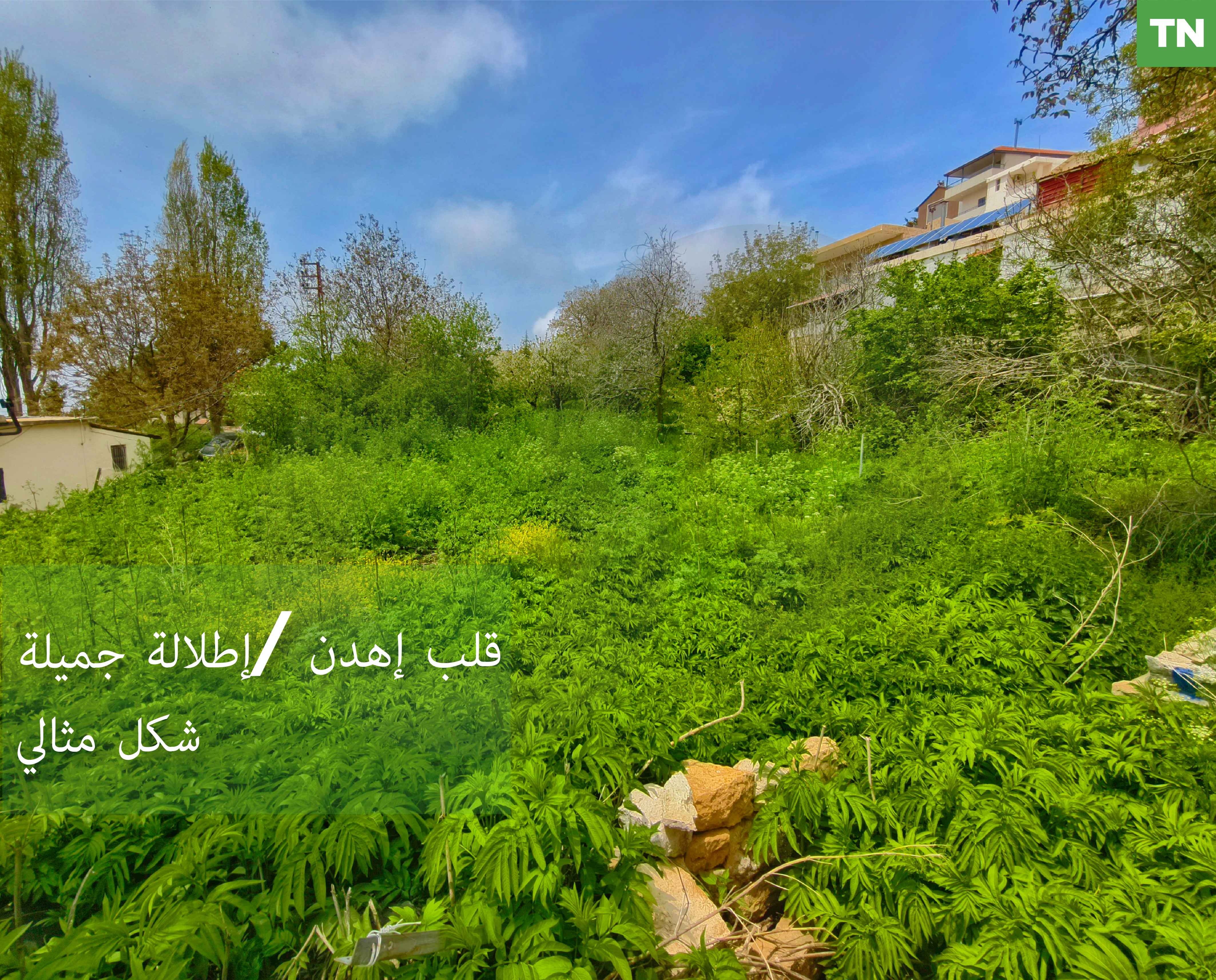LAND /PRIME LOCATION/Ehden,Zgharta