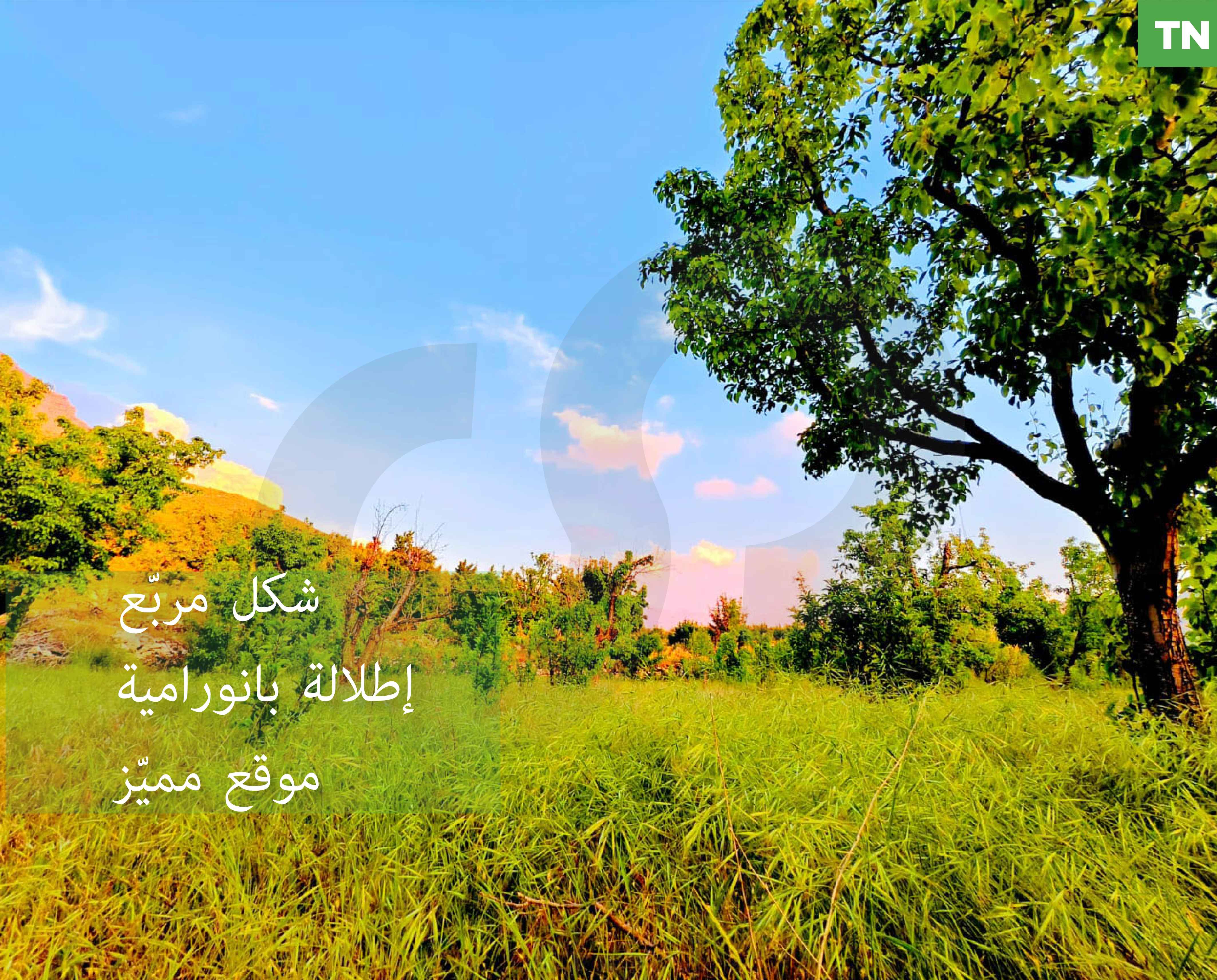 LAND / EHDEN /ZONING : 25/50