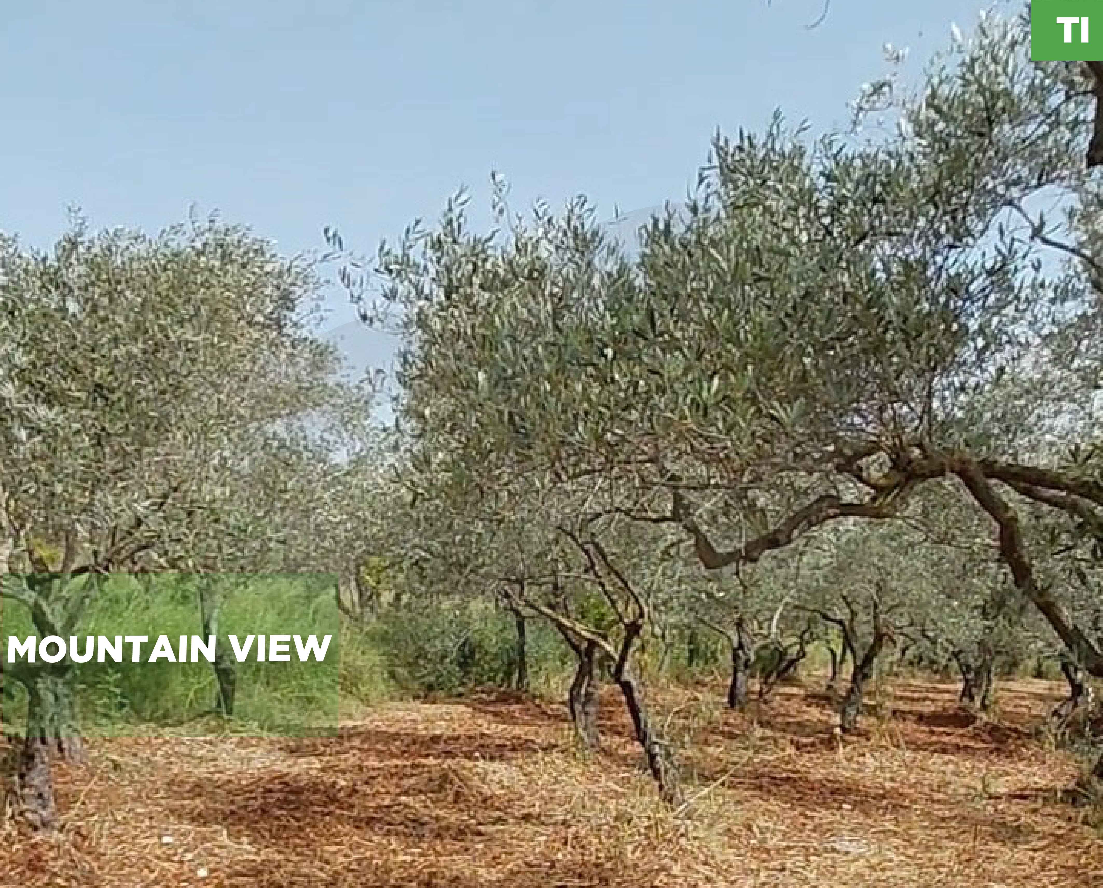 LAND /Koura — الصورة 1