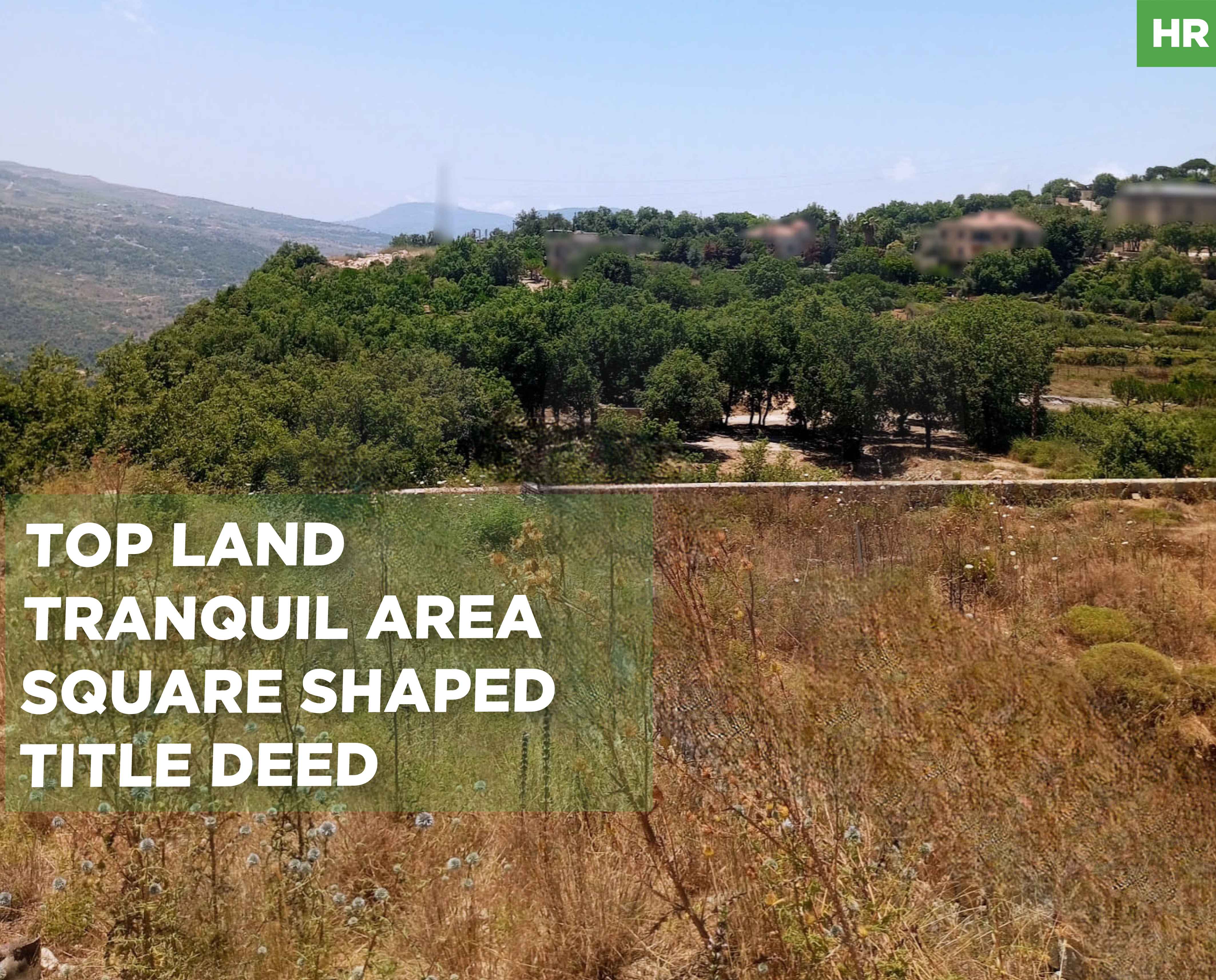 LAND/AIN EL JDIDEH,ALEY /Zone: 20/45/Title Deed — الصورة 1