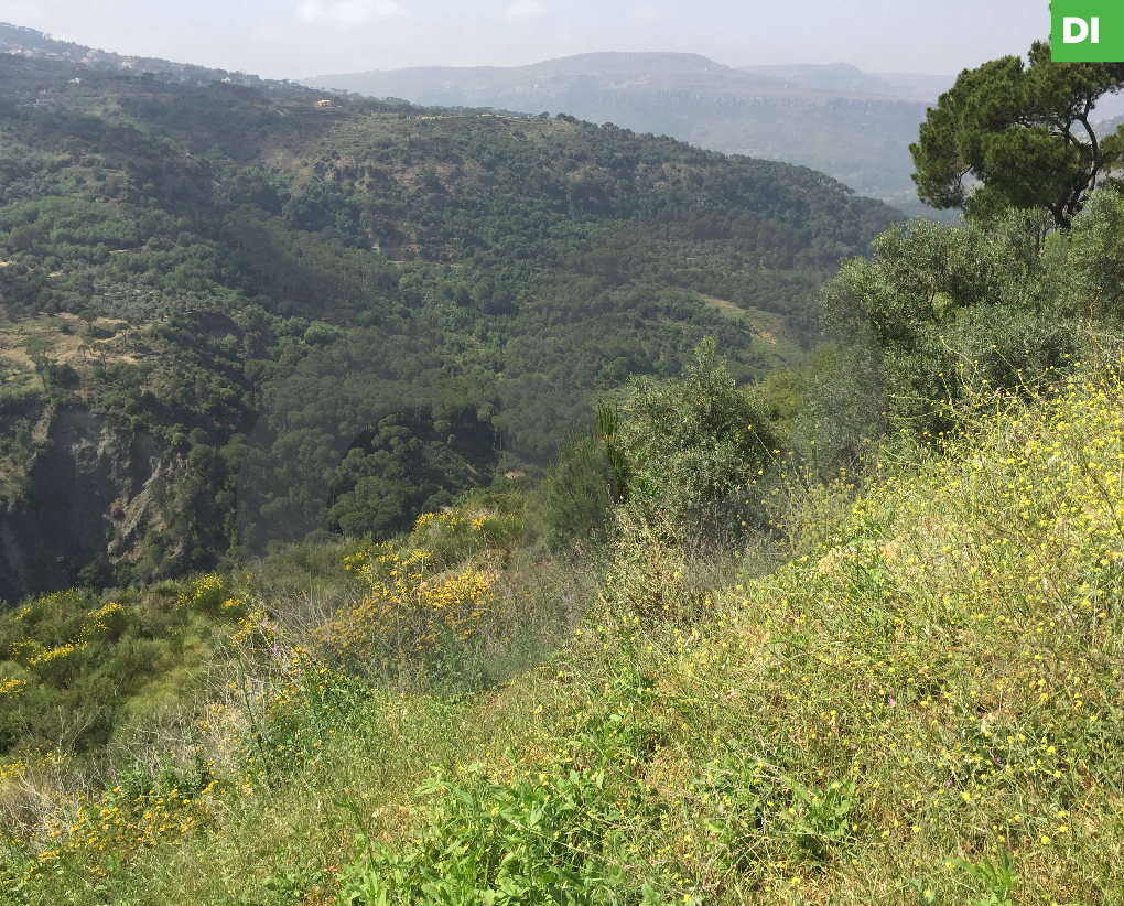 Land for Sale in Aaray - Jezzine