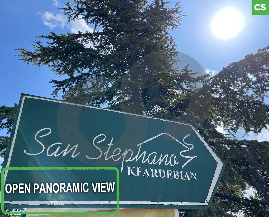 Great deal, kfardebian, san stephano