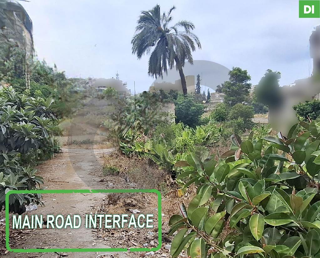 3100 SQM Land for Sale in SAIDA