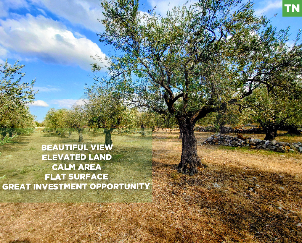 unobstructed open view, great deal, zgharta, bnache — الصورة 1