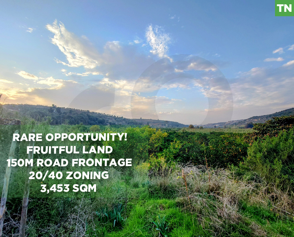Prime 3,453 SQM Land – 150M asphalt Road Frontage – Fruitful Trees – 20/40 Zoning – Excellent Investment Opportunity — الصورة 1