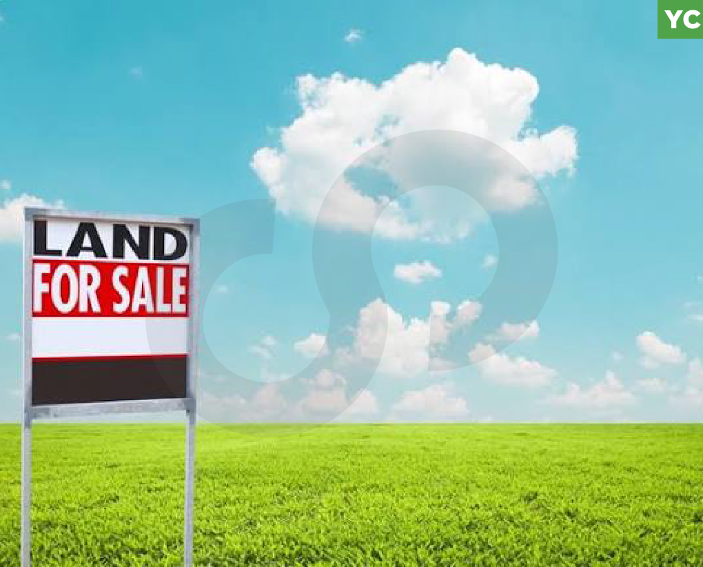 Great deal, prime area, Jbeil - Amchit