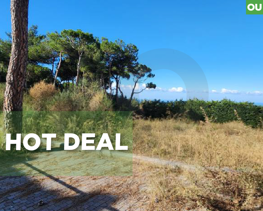 great investment opportunity, cornet chehwan