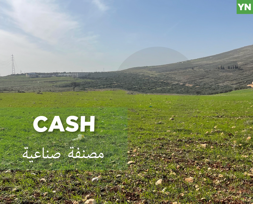 excellent opportunity for investment,zgharta,kefraya — الصورة 1