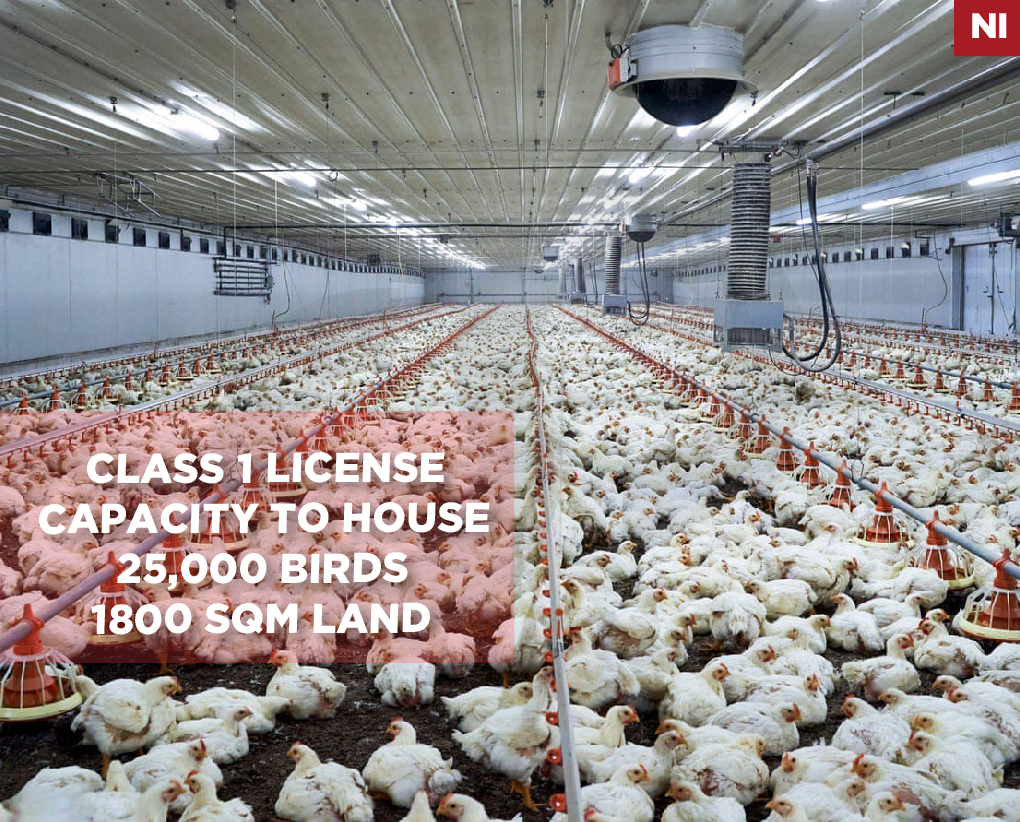 Fully equipped and operational,poultry farm, Jbeil — الصورة 1
