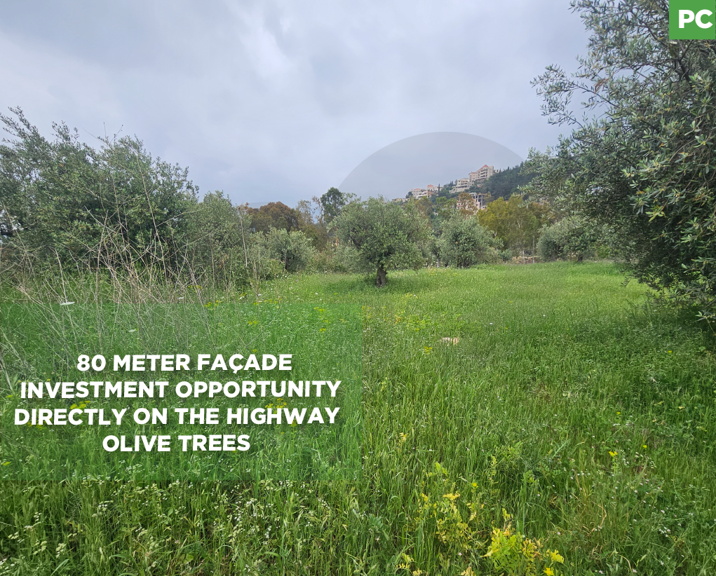 Directly on the Highway ,80 meter façade,Zgharta
