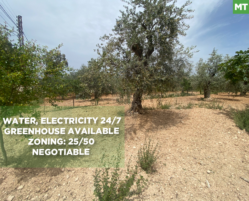 Mountain view, prime area, kferyachit-Zgharta — الصورة 1
