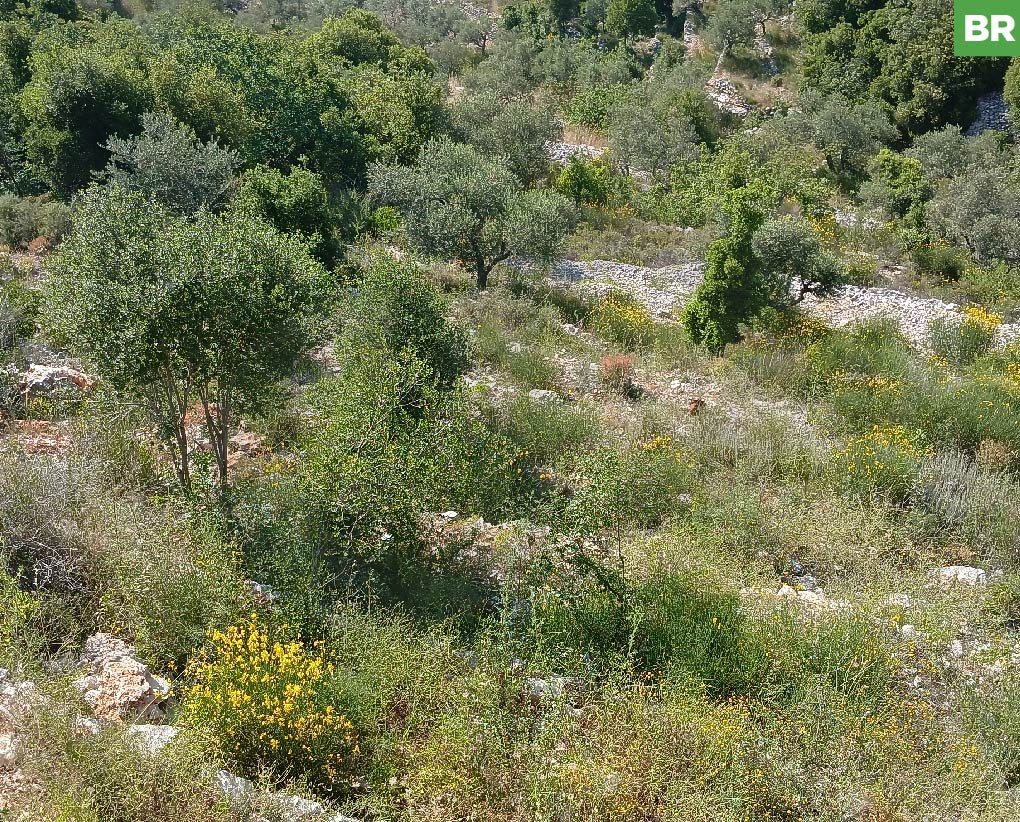 panoramic mountain view,Assia, Batroun — photo 1