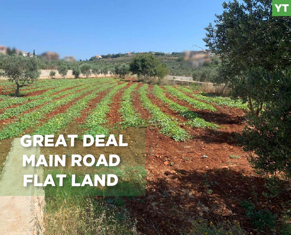 Great Deal, main road, flat land, Afsdiq, Koura — الصورة 1