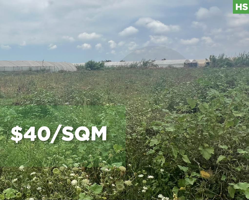Agricultural investment, great deal, akkar, samouniyi