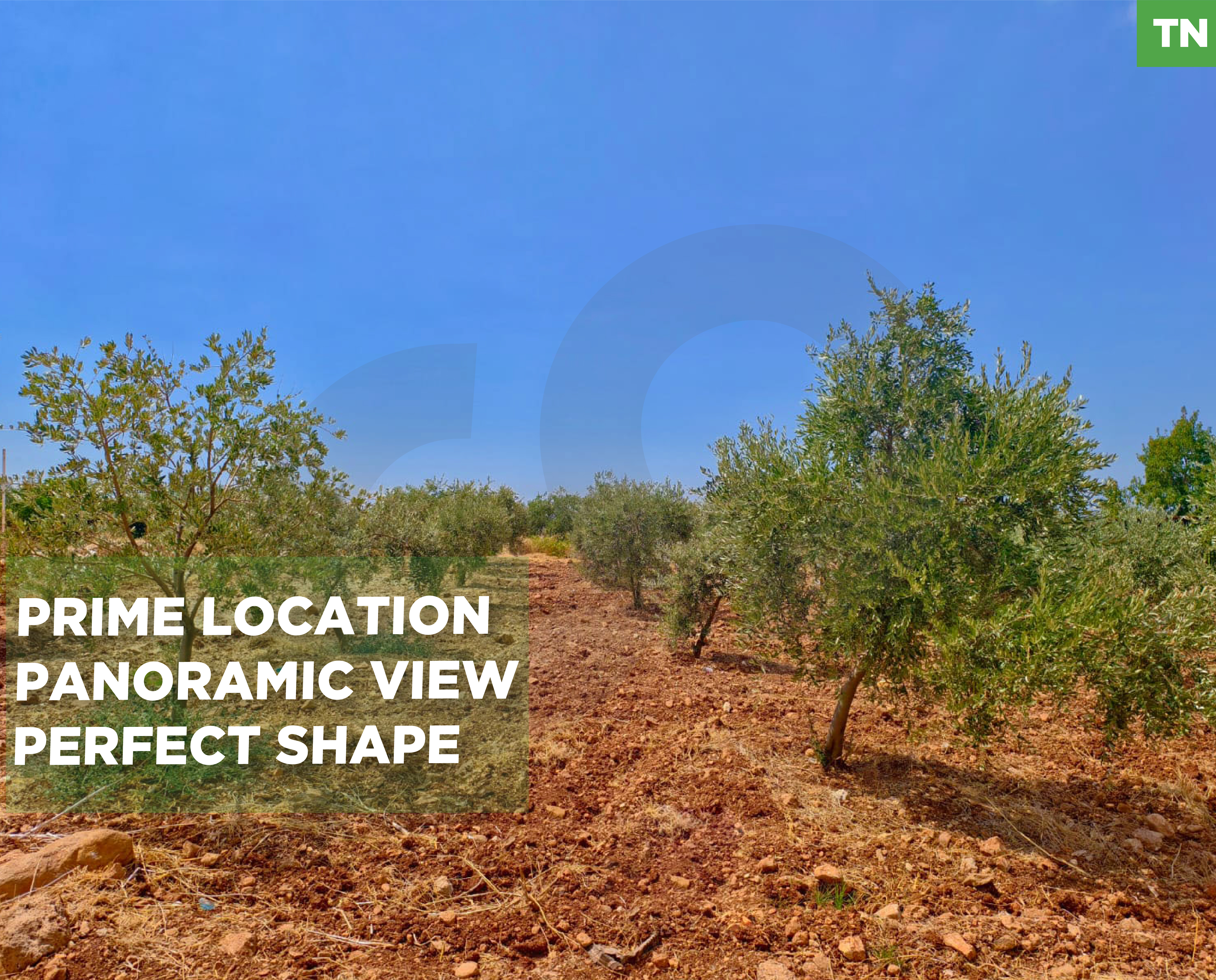LAND/20/40 zoning/Bnacheh, Zgharta /Ideal for a private villa or investment — الصورة 1