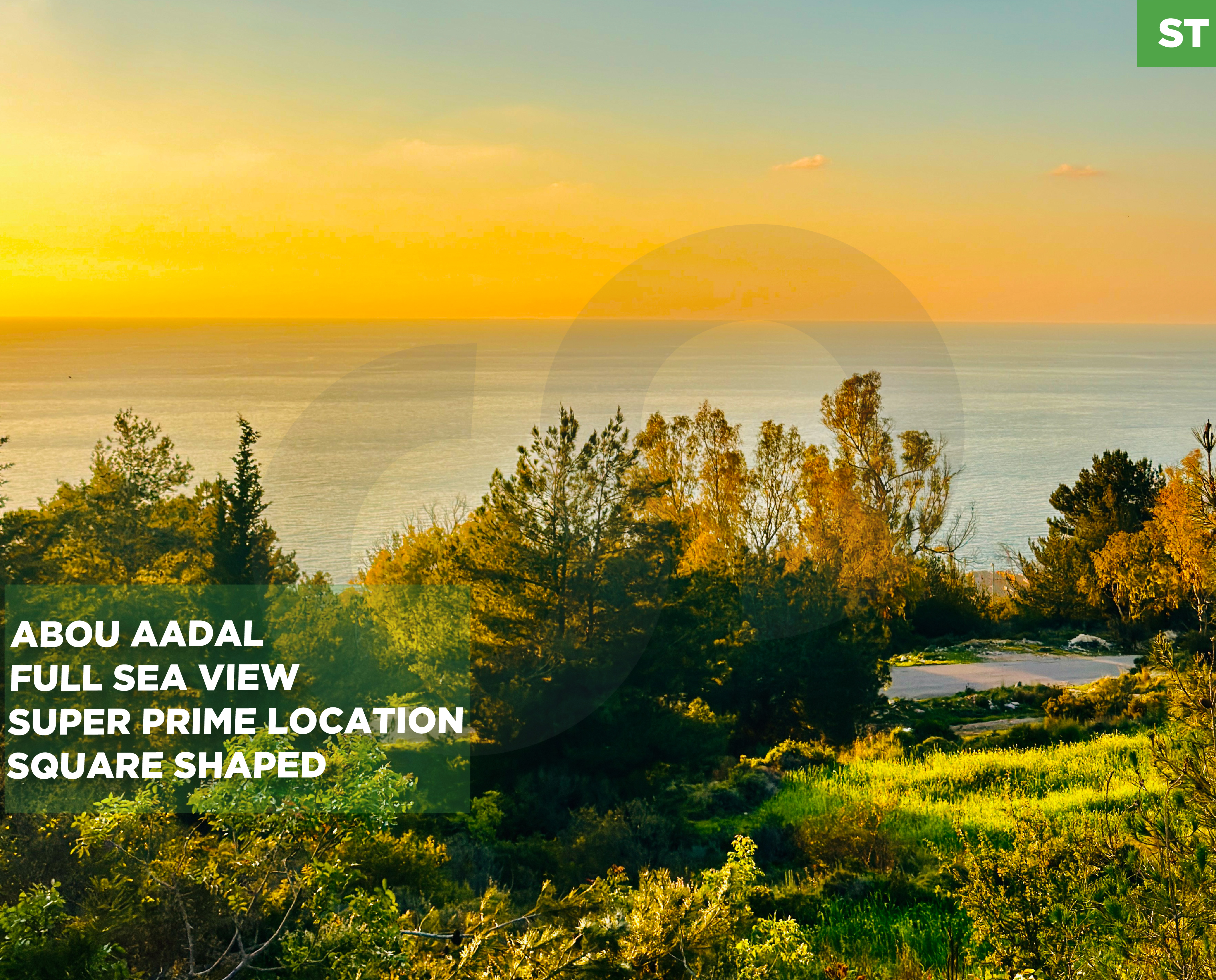 LAND/Super Prime Location/Adma - Safra,KESEROUAN- in Abou Adal Jabal — photo 1