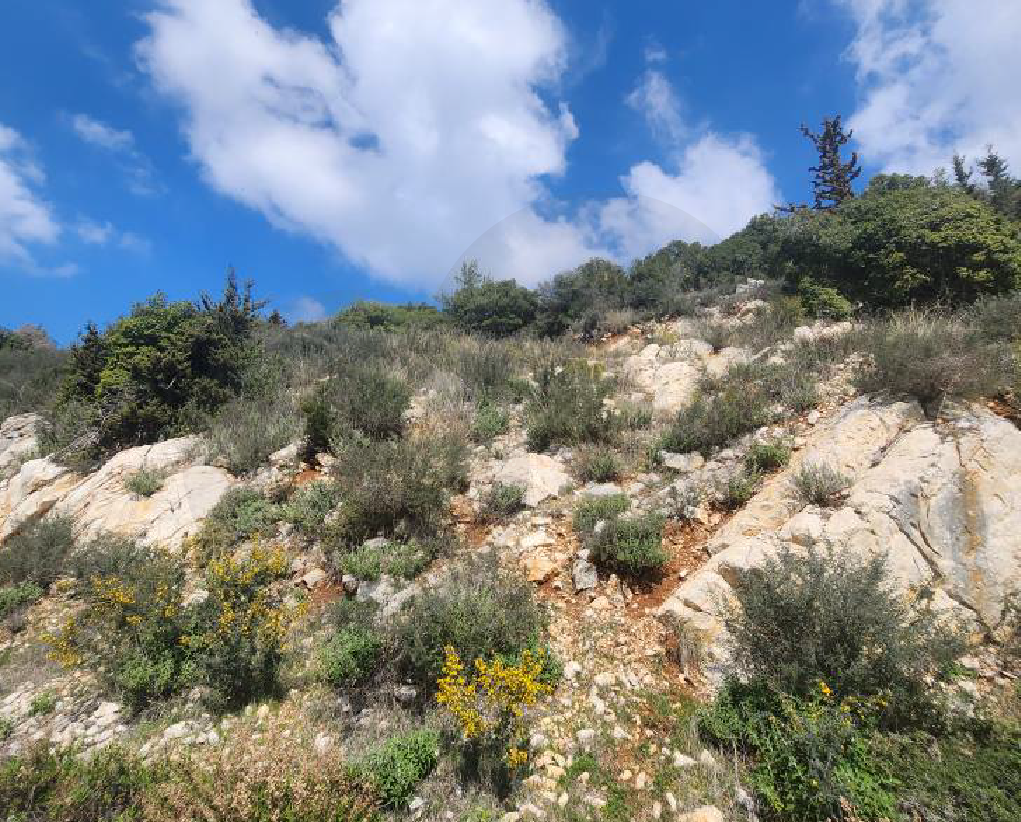 Surrounded by nature and fresh air in kfour — الصورة 2