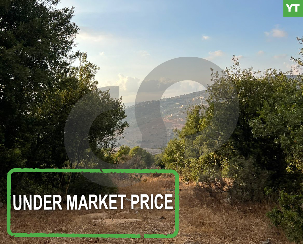 under market price -Great deal- Chira koura — الصورة 1