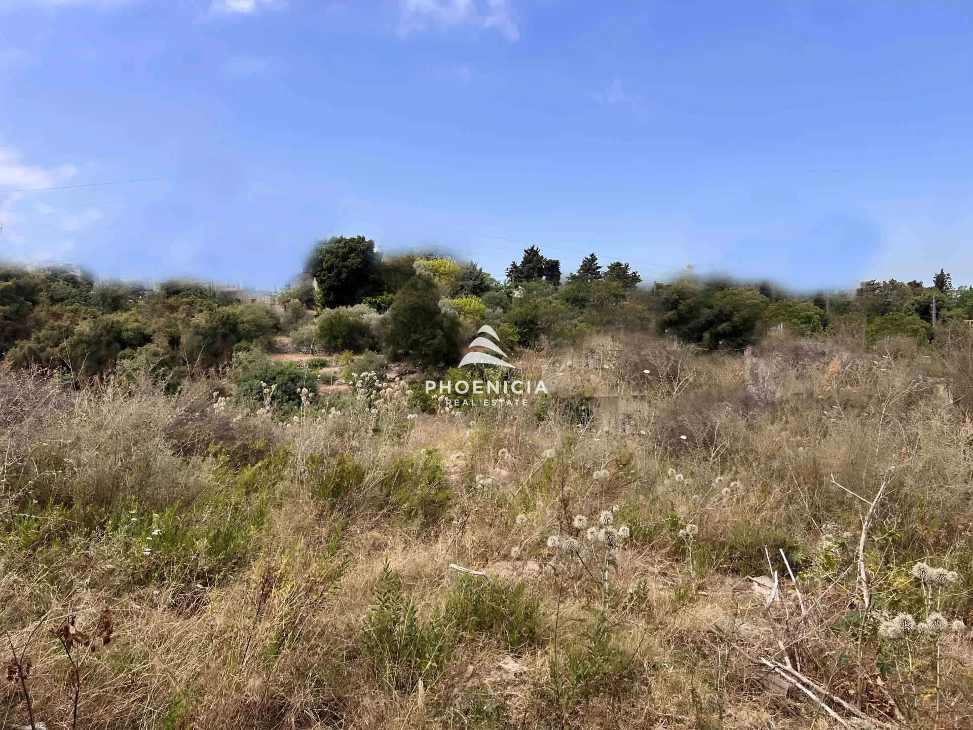 Land for Sale in Blat — الصورة 6