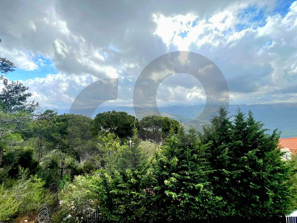 Panoramic Mountain view , 1000 sqm land, Baabdat — الصورة 2