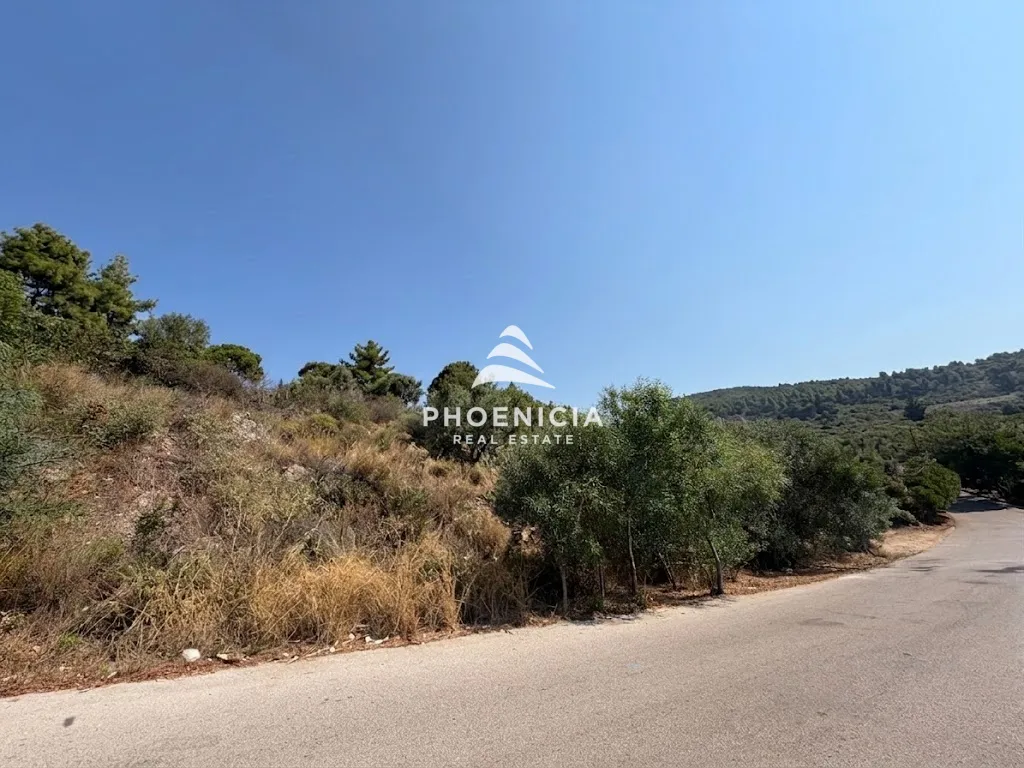 Residential Land for sale in Adma w Dafnah, Lebanon — الصورة 5