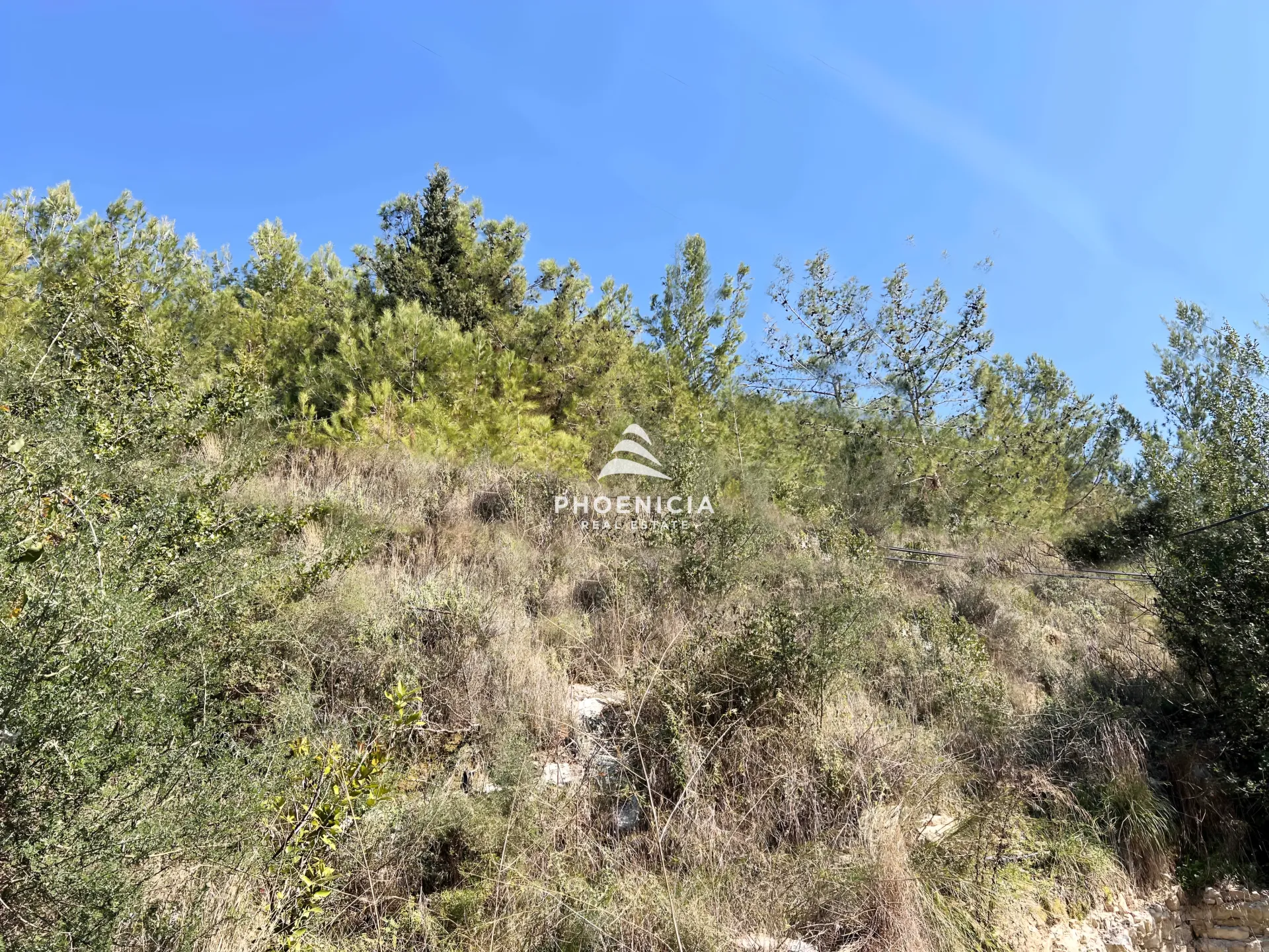 Land for Sale in Blat — الصورة 3