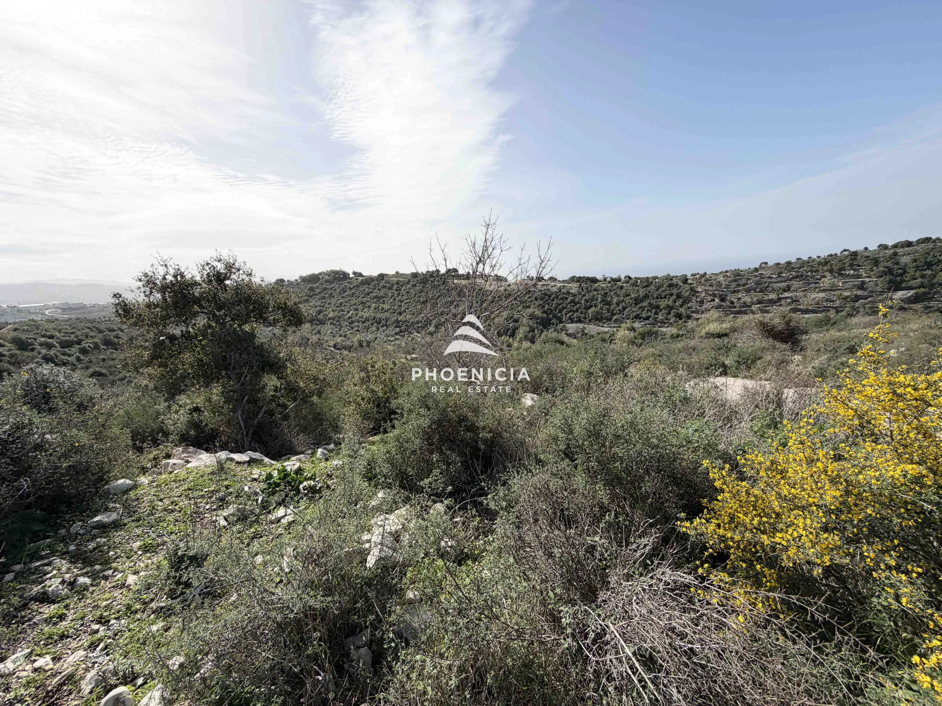 Land for Sale in Gharzouz — الصورة 4