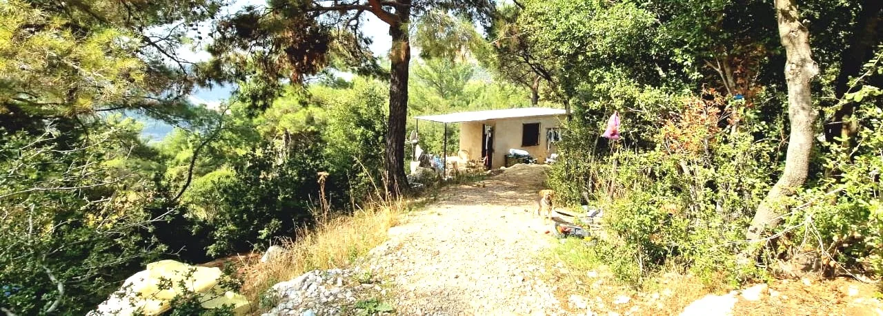 Land for Sale in Batroun, Lebanon — الصورة 6