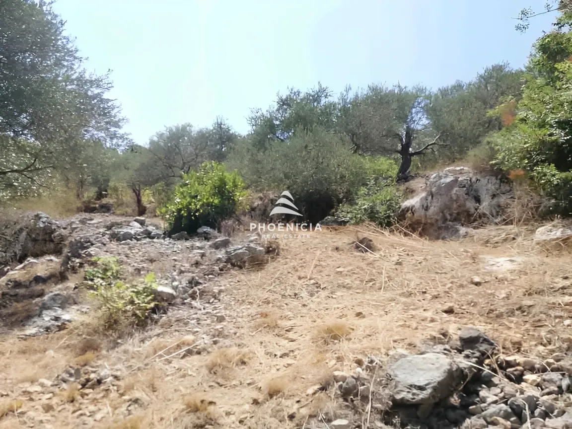 Land for Sale in Monsef — الصورة 9