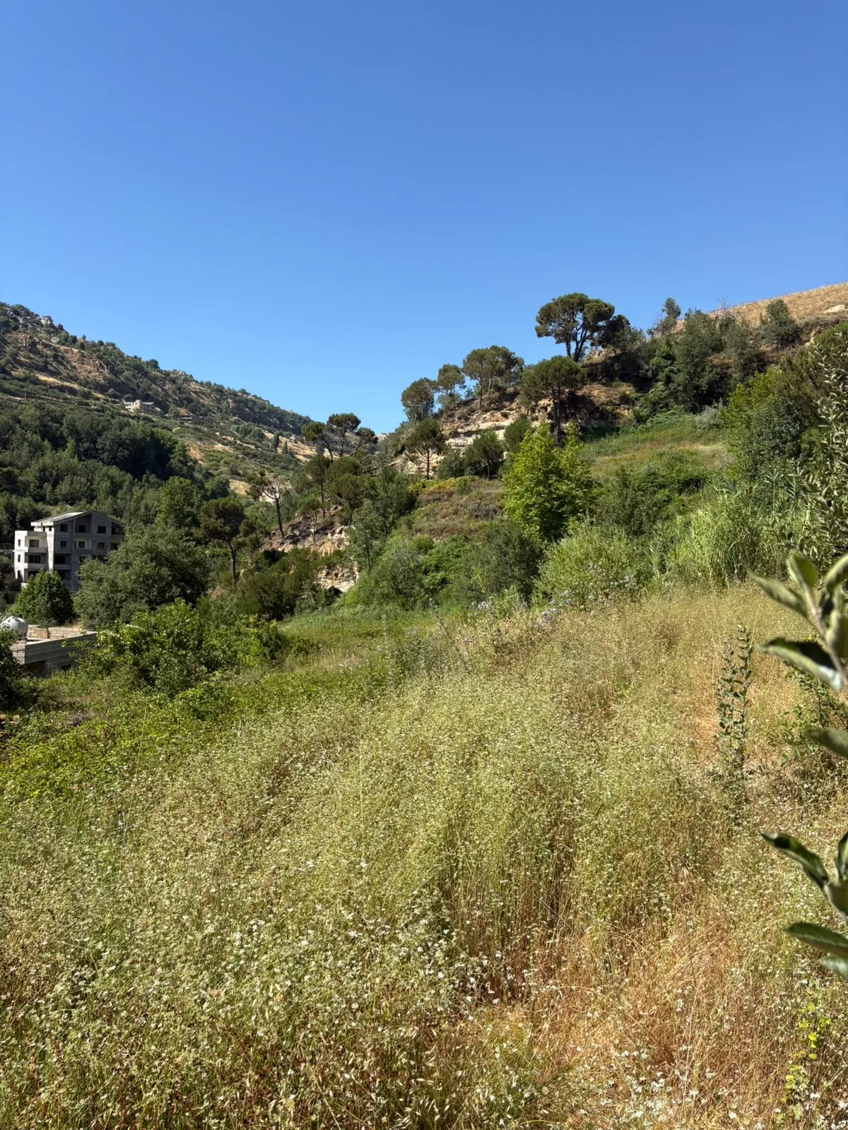 Land for Sale in Hrajel — الصورة 3