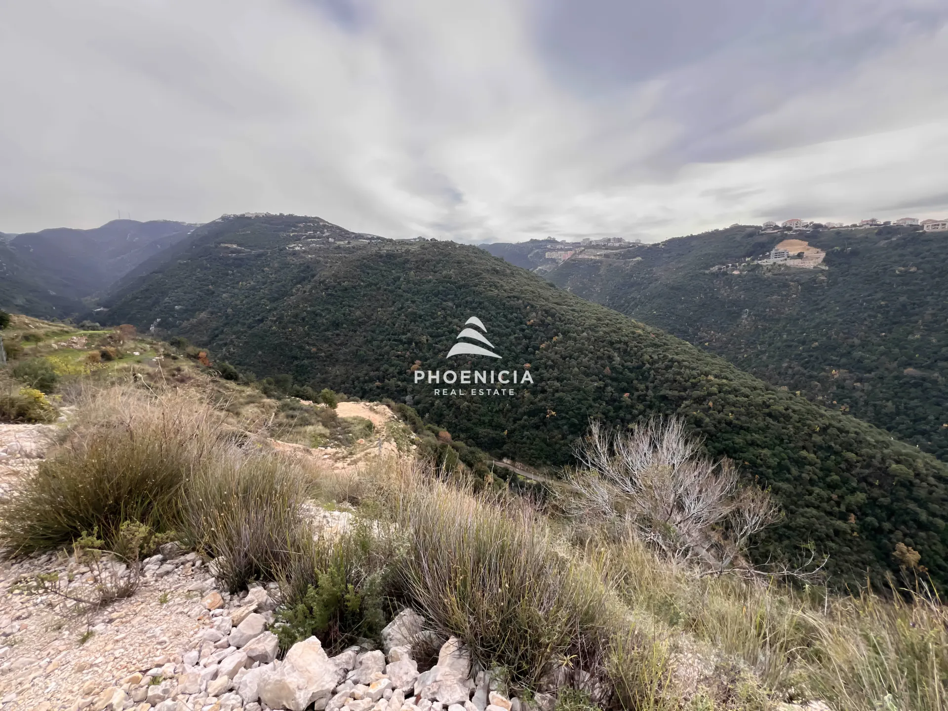 Land for Sale in Edde — الصورة 3