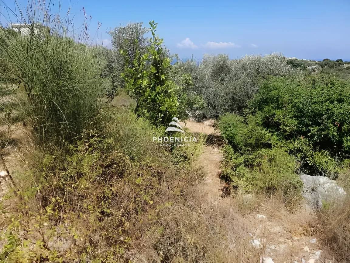 Land for Sale in Monsef — الصورة 15