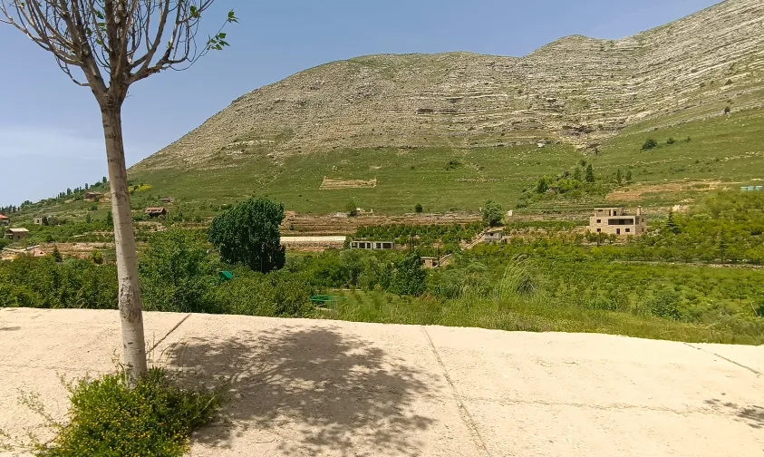 Land for Sale in Faraiya, Lebanon