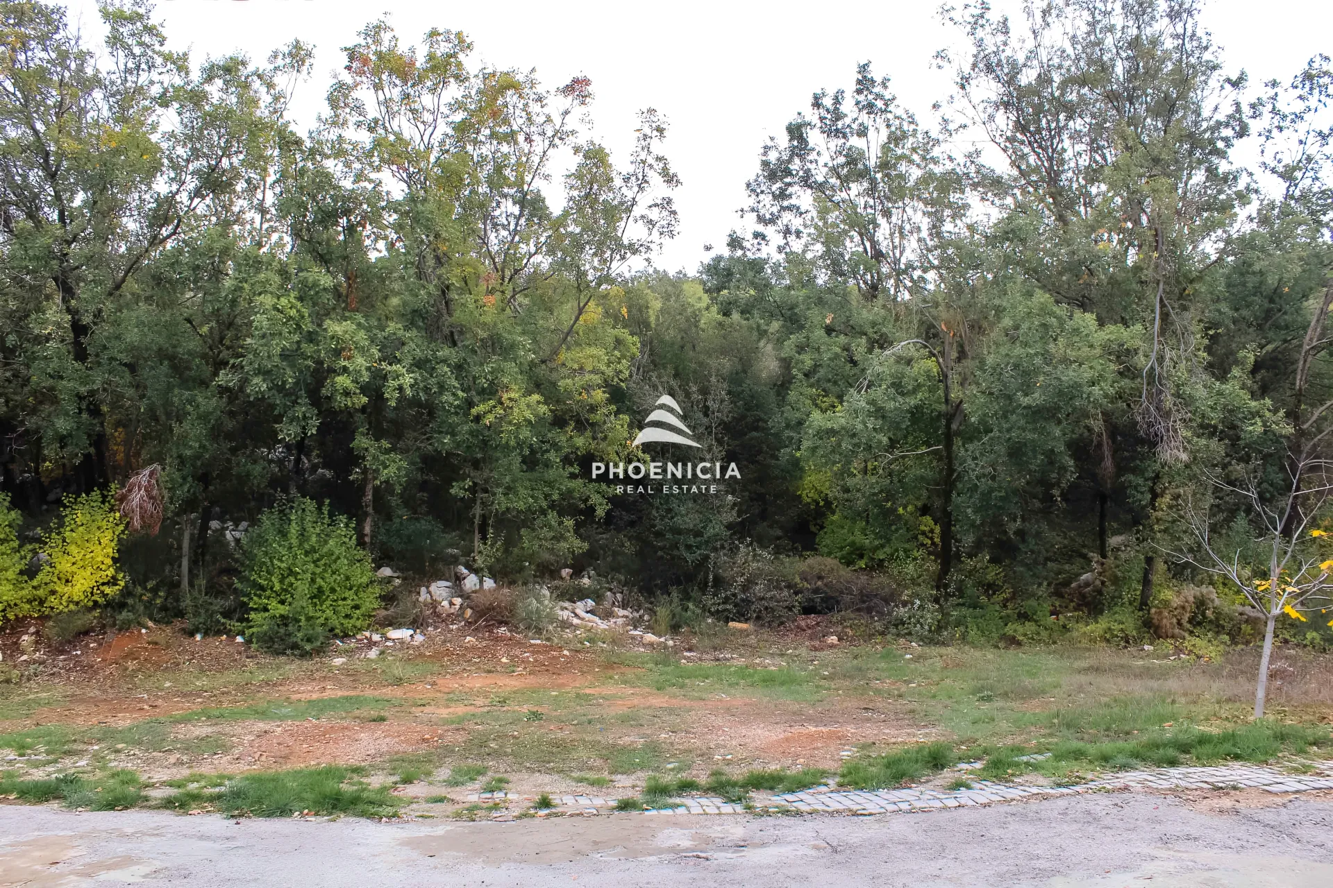Land for Sale in Kfar Baal — الصورة 2