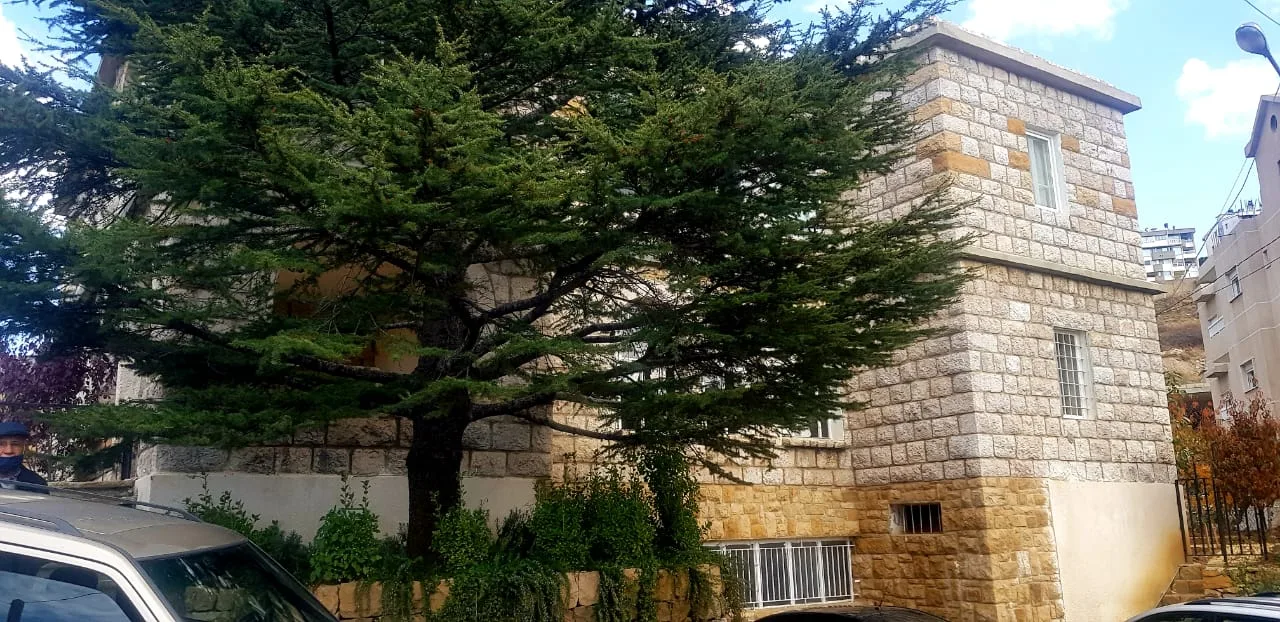 Villa for Sale in Hrajel, Lebanon — الصورة 2