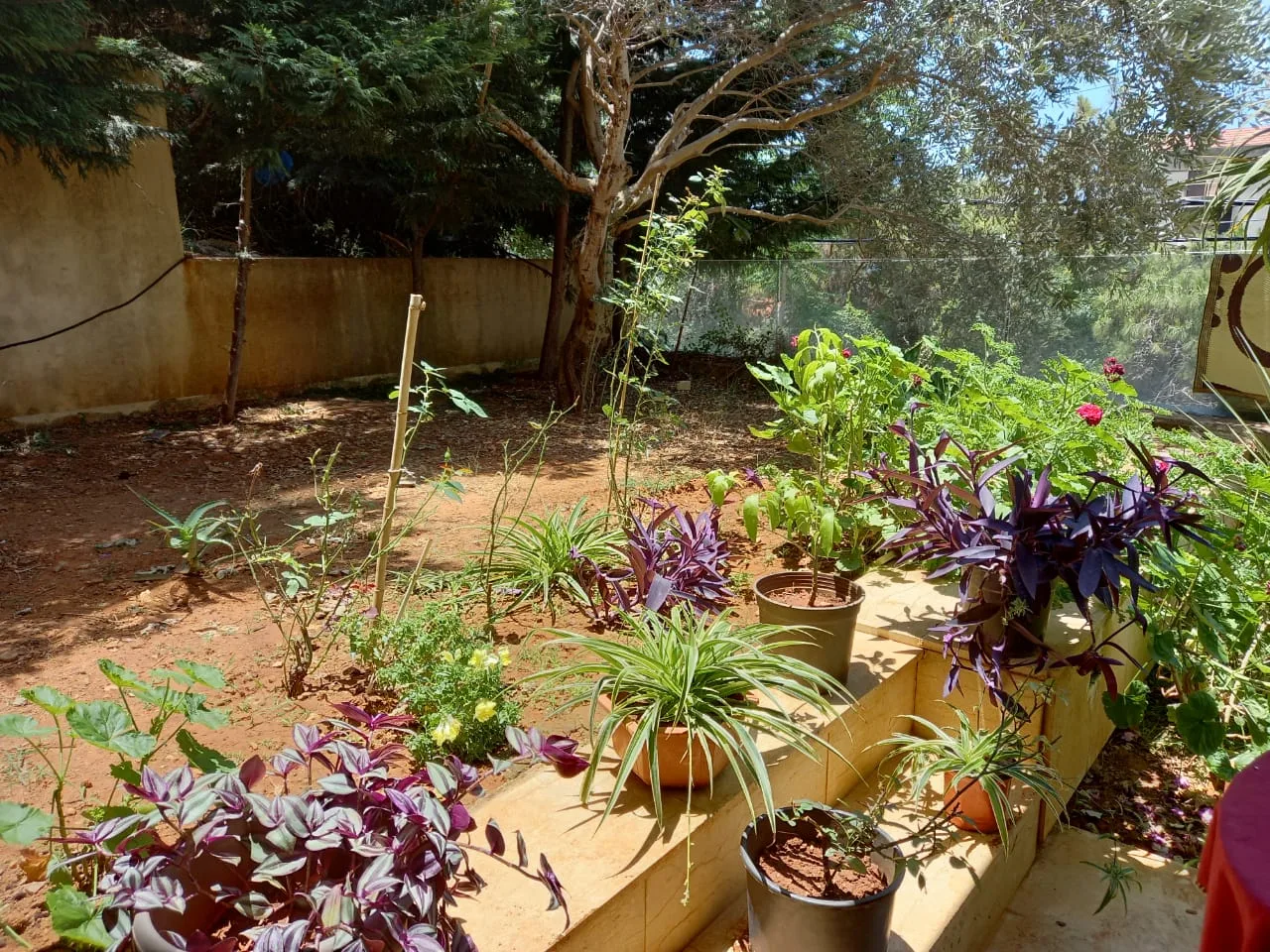 Apartment for Sale in Haret Sakher — الصورة 10