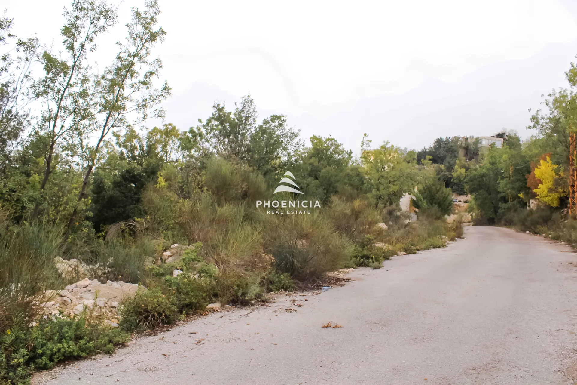 Land for Sale in Aannaya — الصورة 4