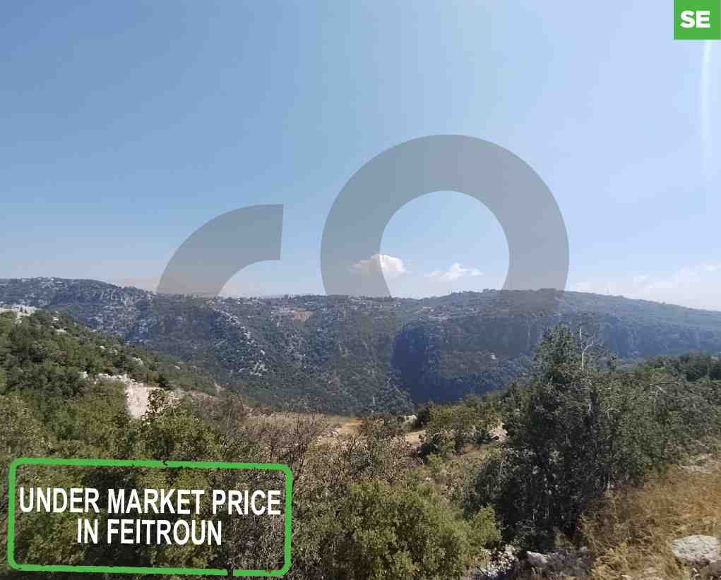 Land for sale in Feitroun