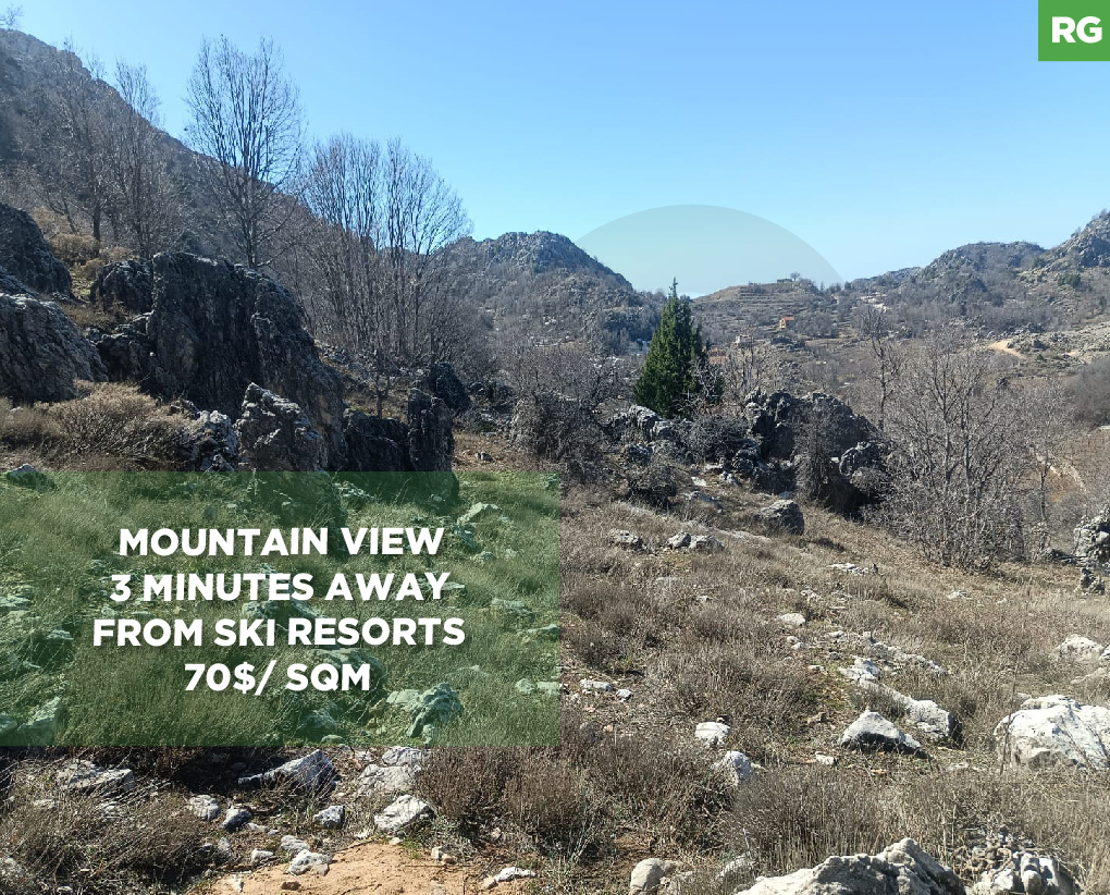 Mountain View/Ski Resorts/Jbeil - Ehmej