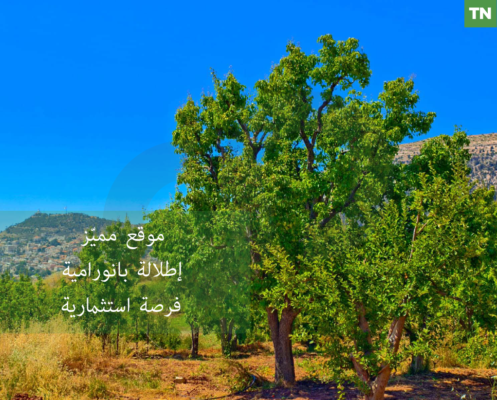 PRIME LOCATION, LAND FOR SALE, EHDEN-ZGHARTA