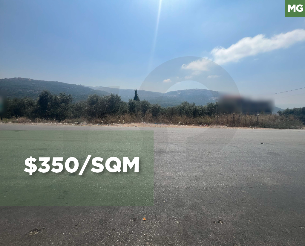 LAND FOR SALE / MAIN HIGHWAY / PRIME INVESTMENT / DENNIYE-MINNIEH — photo 1