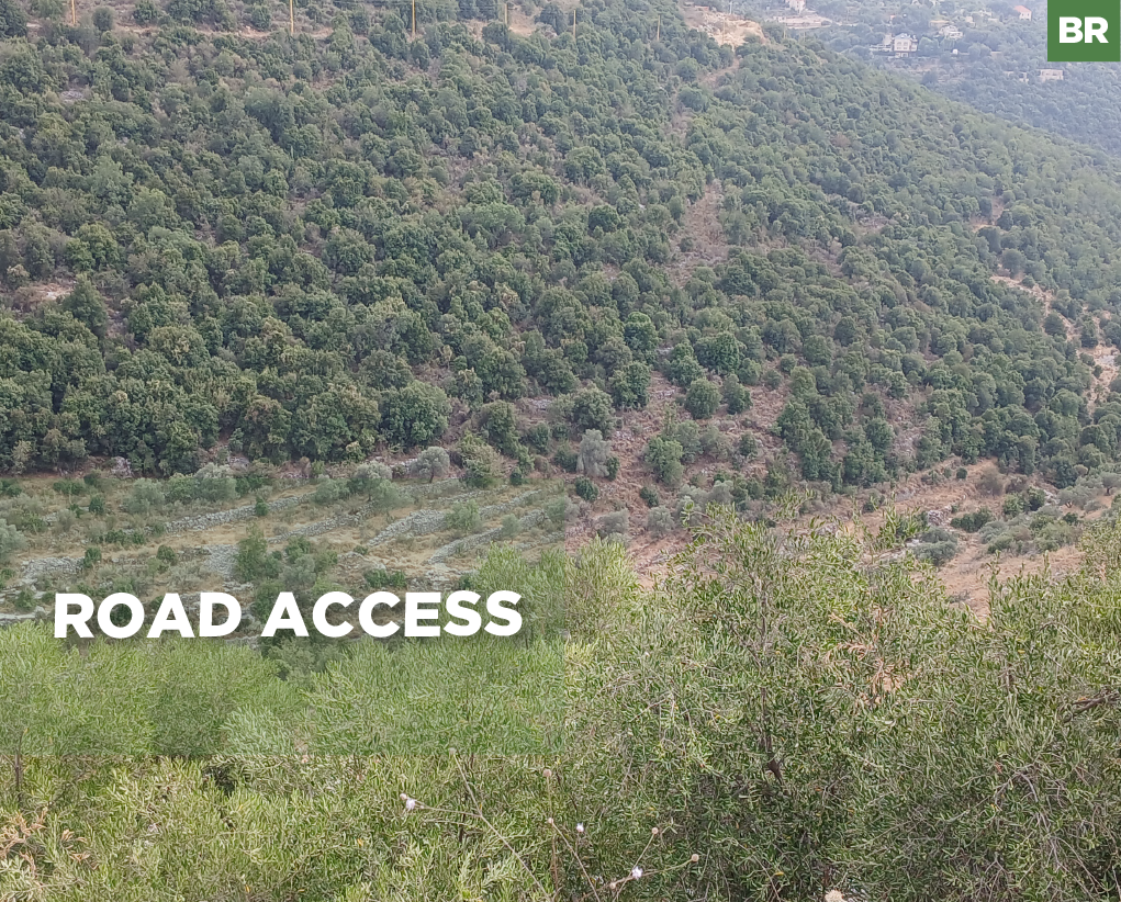 Land for Sale – Assia, Batroun — الصورة 1