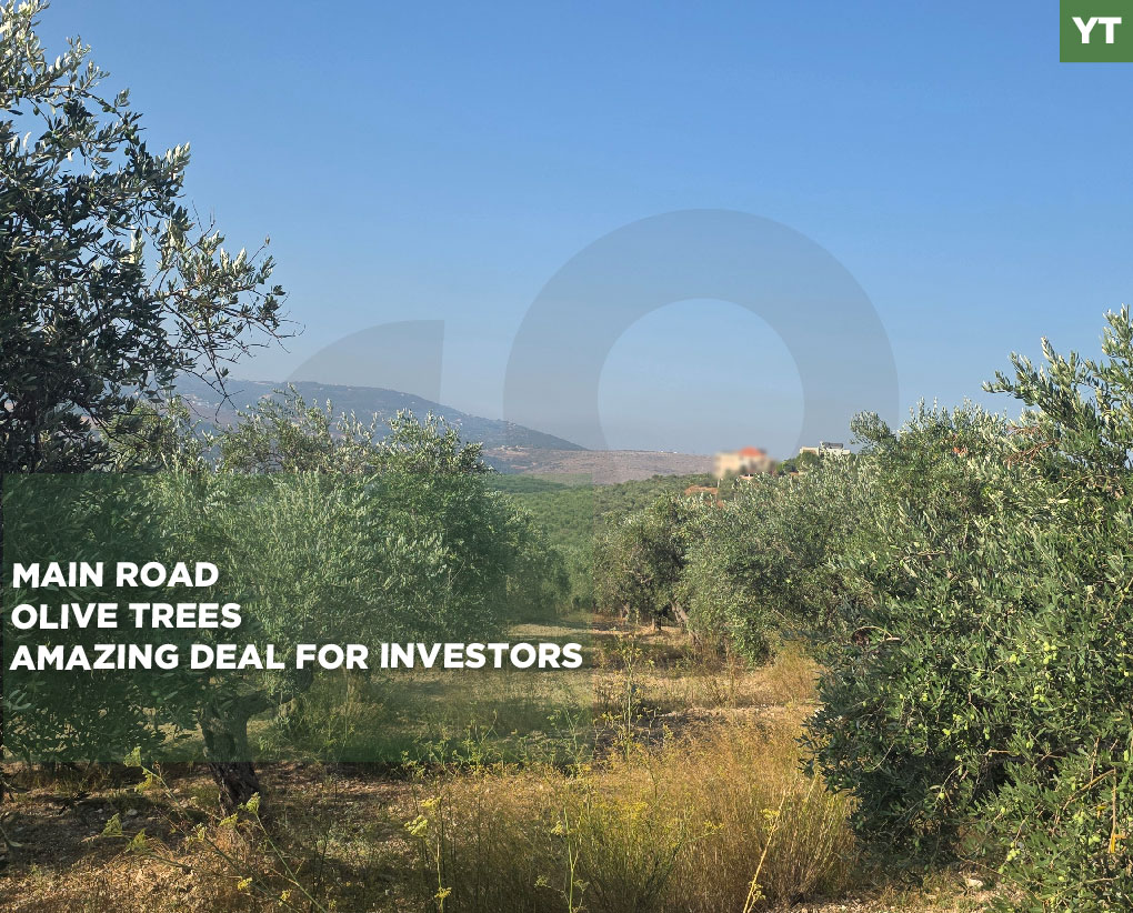 PRIME LAND/EXCELLENT ACCESSIBILITY/ATTRACTIVE LOCATION/BZIZA,KOURA — الصورة 1