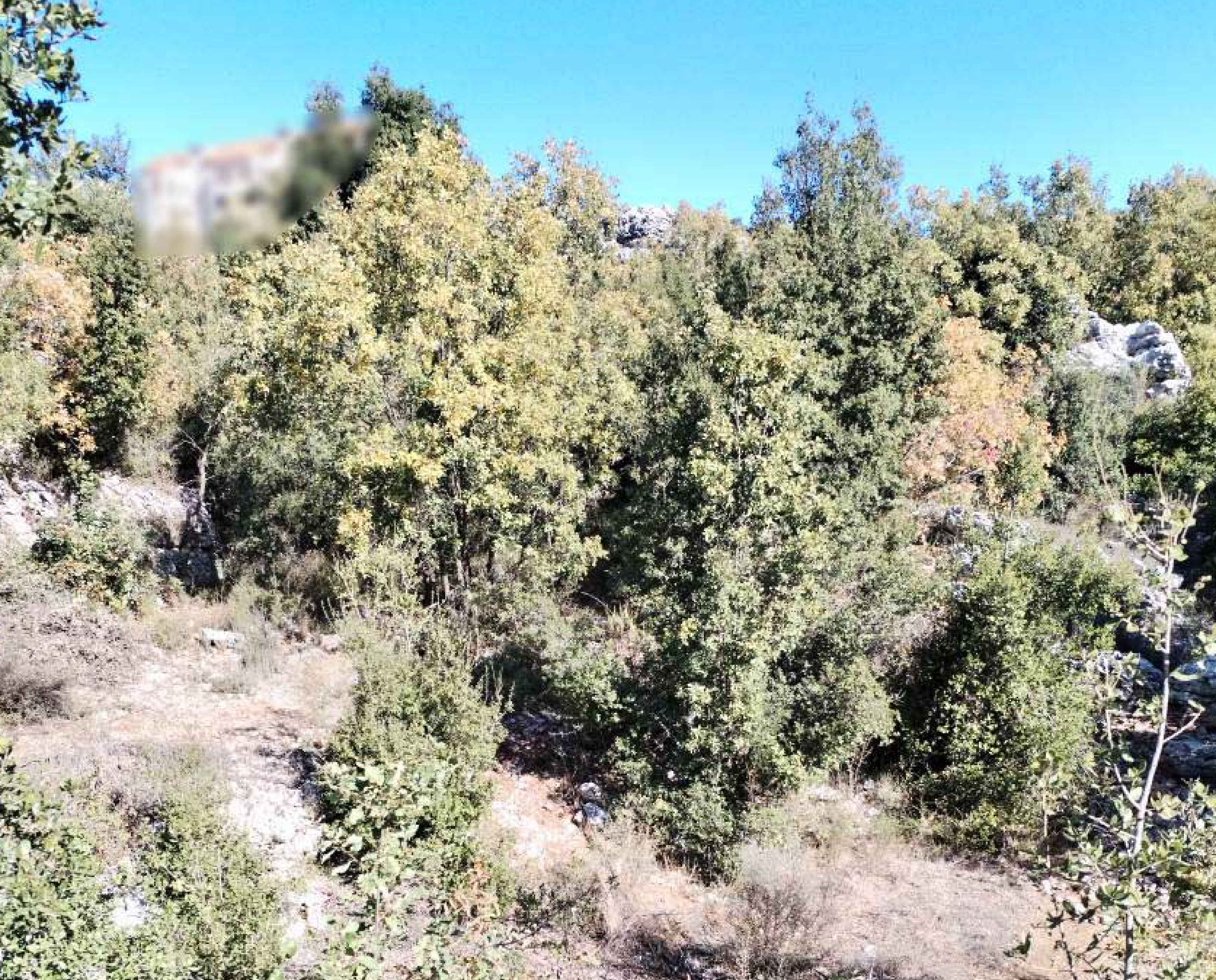 CALMEST AREA / 1100 SQM LAND IN FAITROUN - FOR SALE — الصورة 2