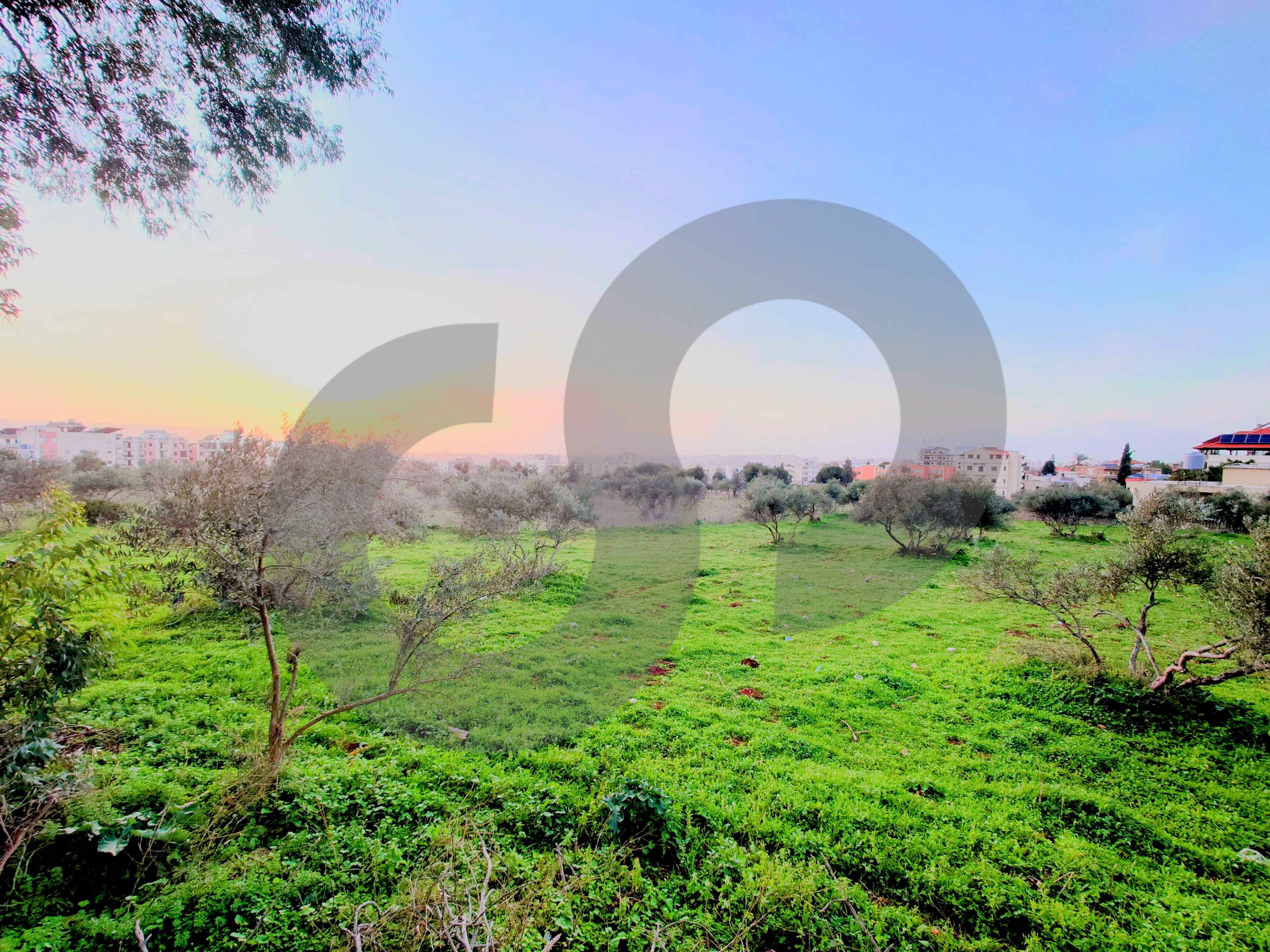 Prime C1 Development Land in Mejdleya – Zgharta — الصورة 2
