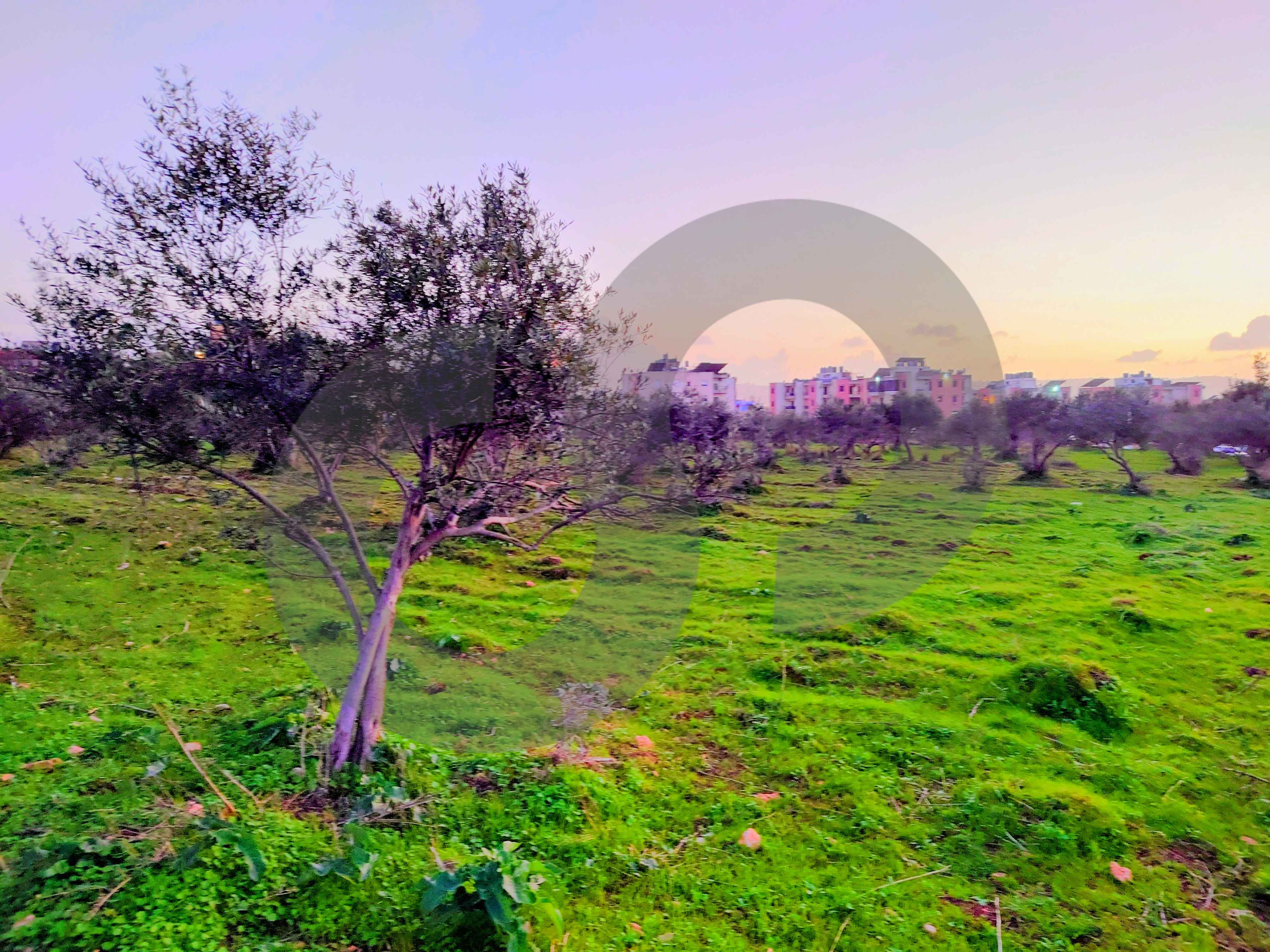 Prime C1 Development Land in Mejdleya – Zgharta — الصورة 3