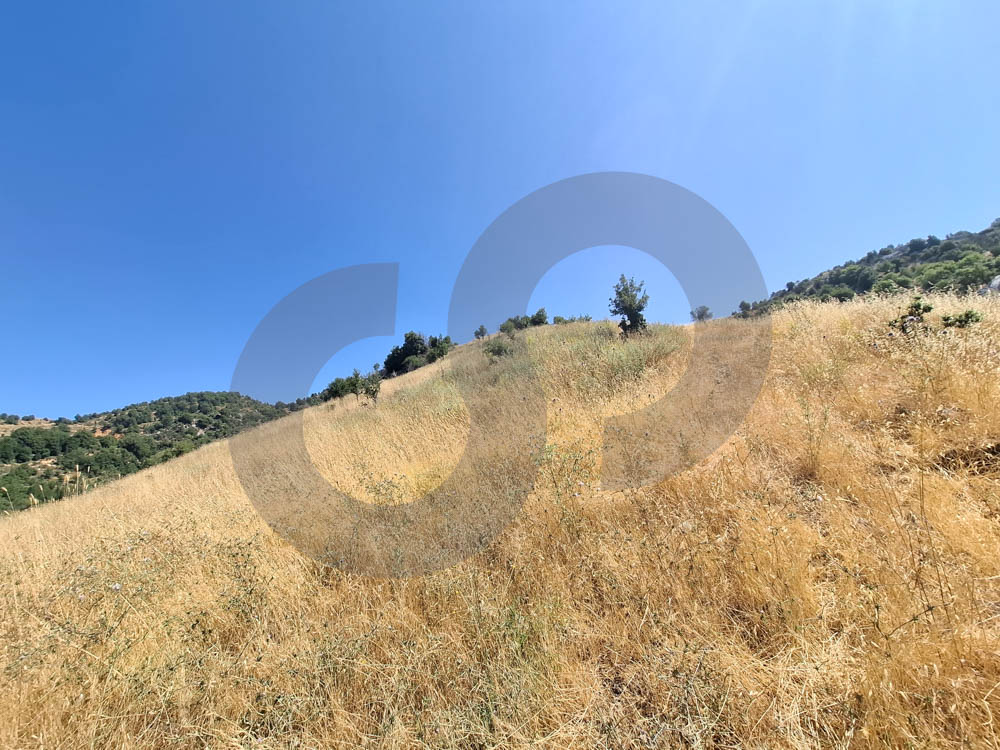 LAND FOR SALE, PRIME LAND, EHMEJ-JBEIL — الصورة 2